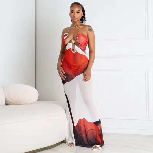 Ki Sheer Dress