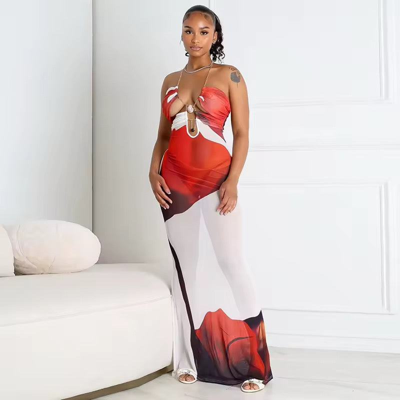 Ki Sheer Dress
