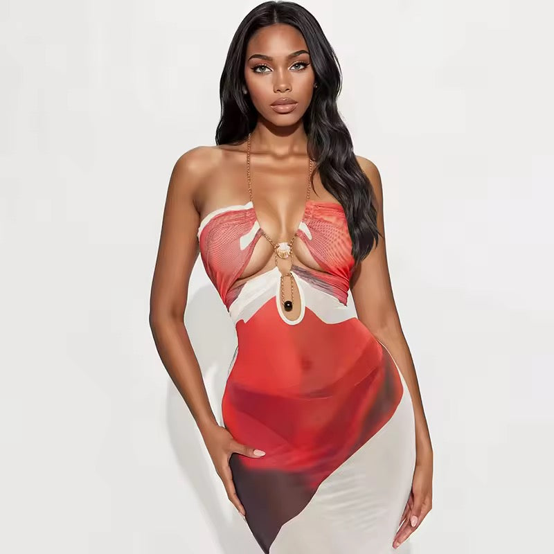 Ki Sheer Dress